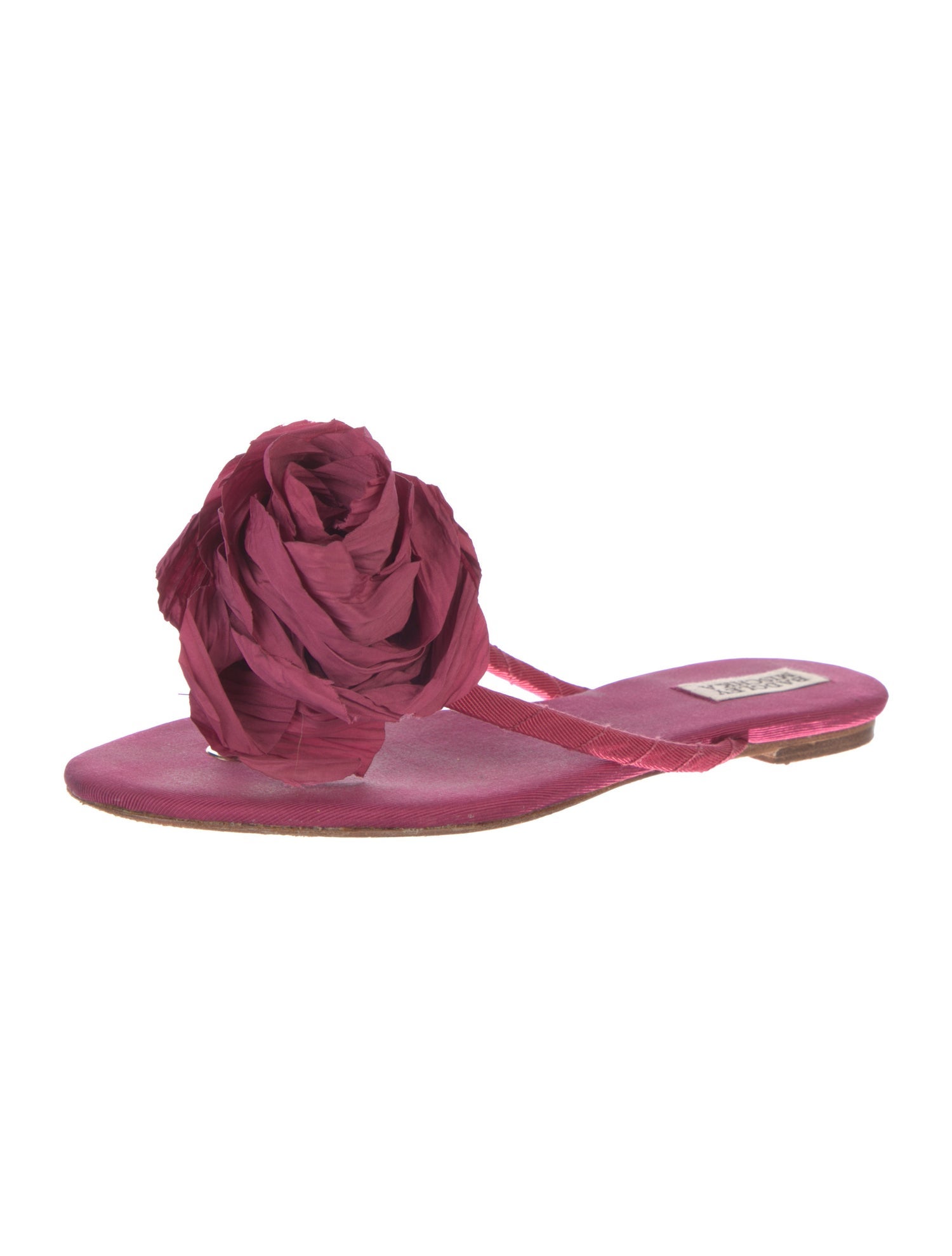 Badgley Mischka Canvas Slides