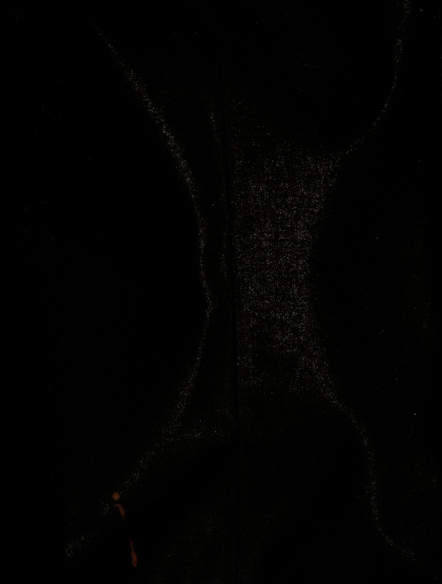 Balenciaga Canvas Small