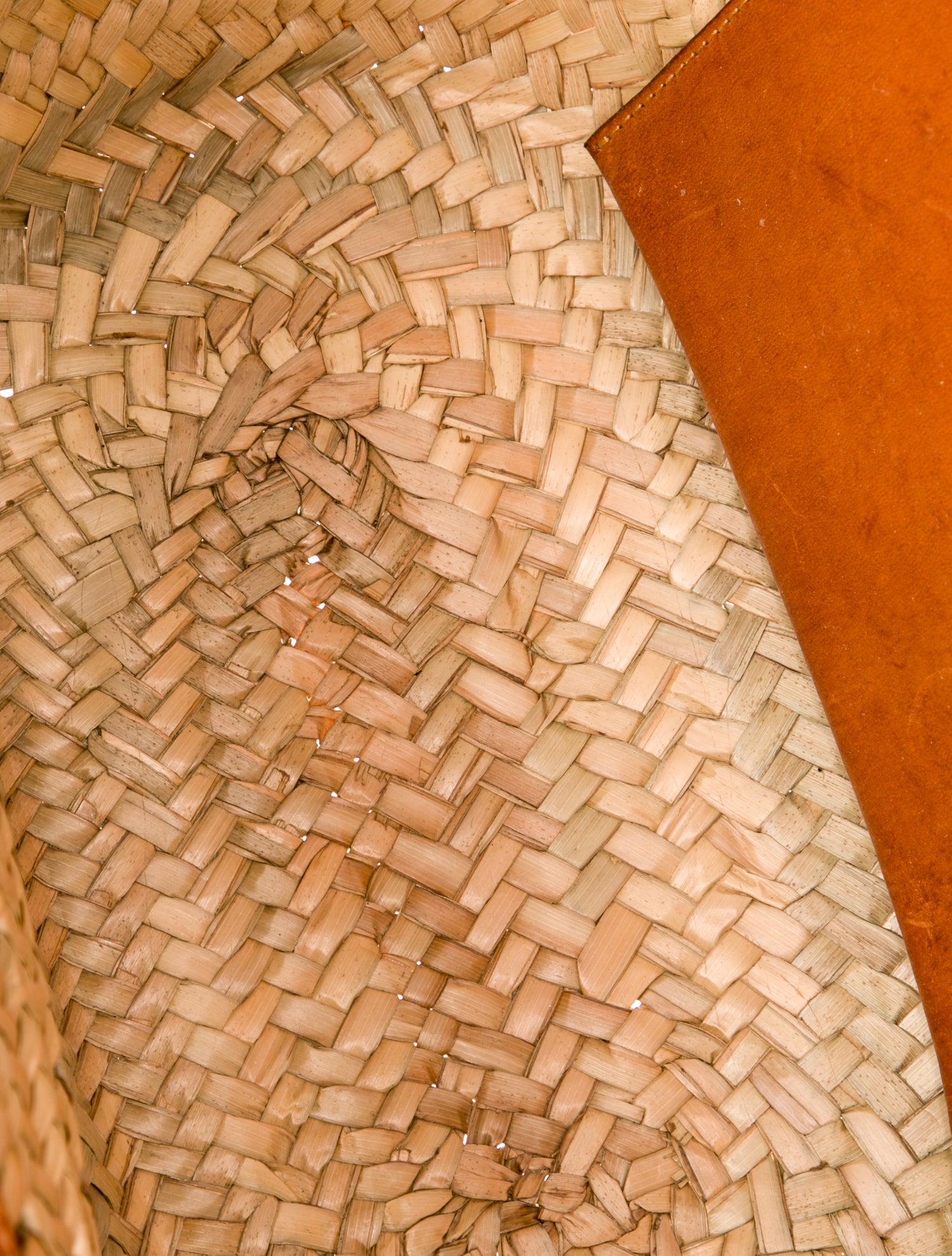 Balenciaga Raffia Bistro XS Basket