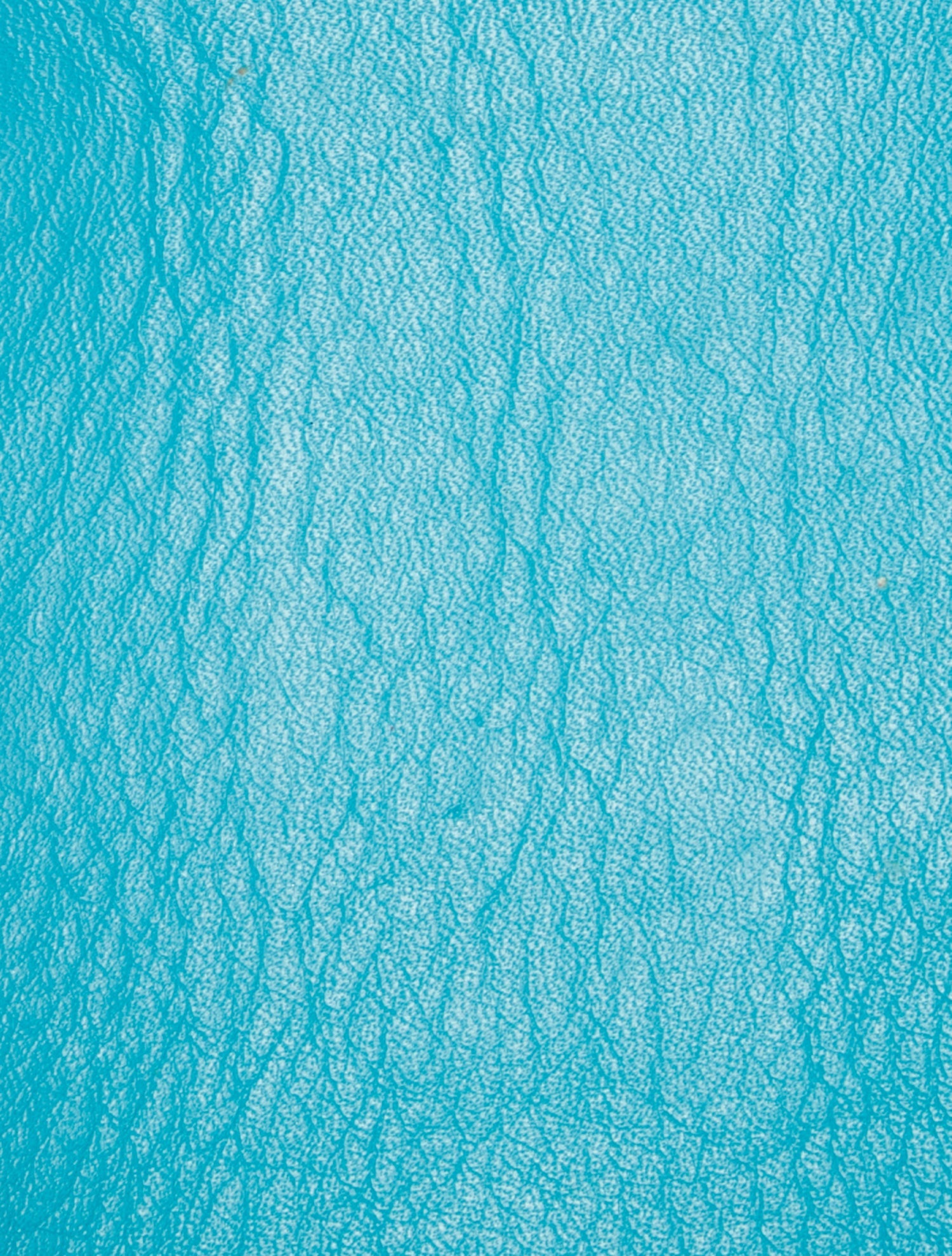 Balenciaga Leather Papier A4