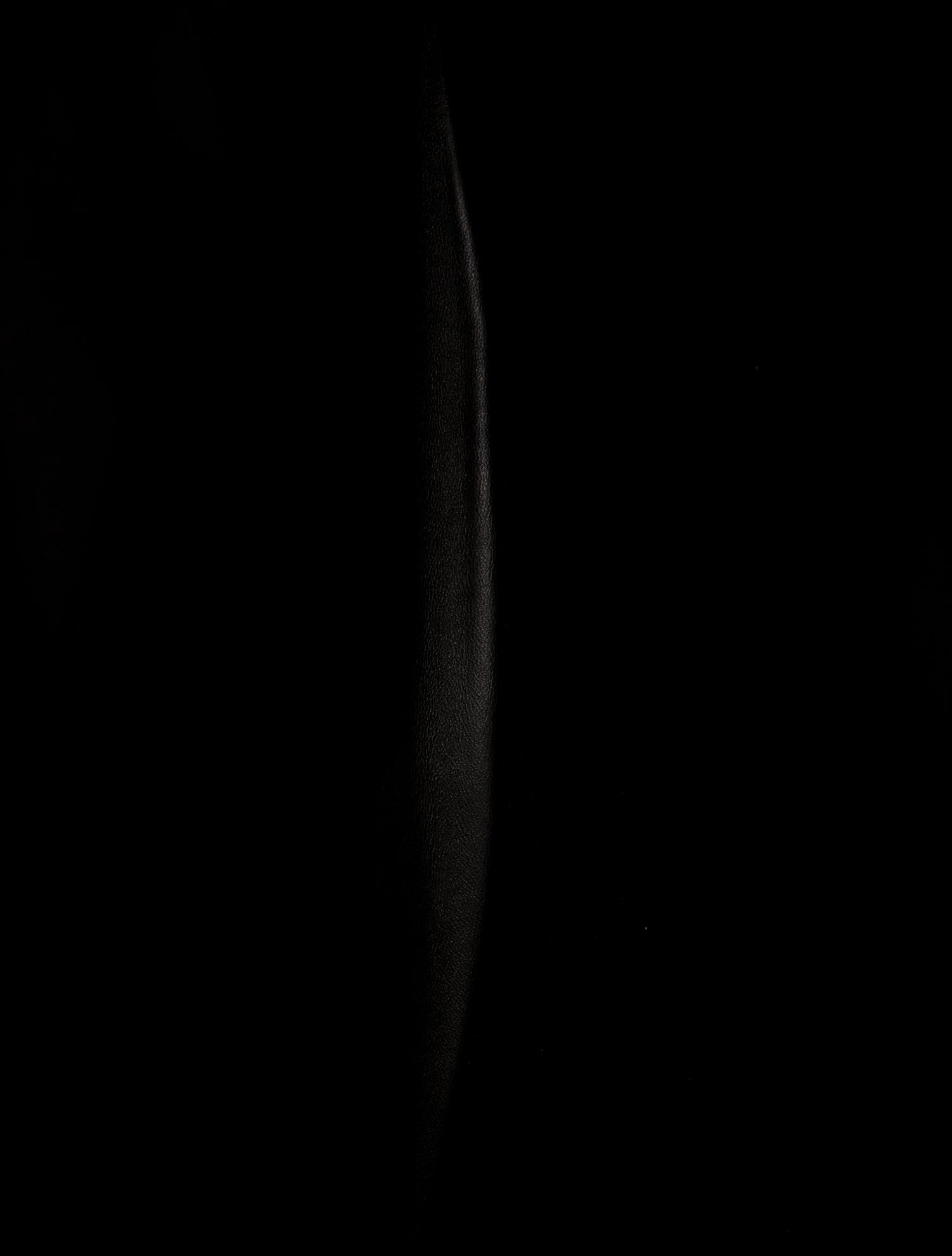 Balenciaga Leather Large Rodeo with Charms Large 2024