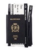 Balenciaga 2024 Passport Compact Wallet