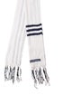 Balenciaga Striped Scarf