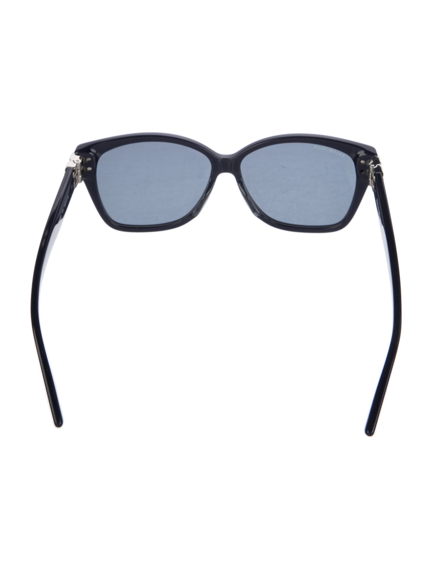 Balenciaga Wayfarer Tinted Sunglasses