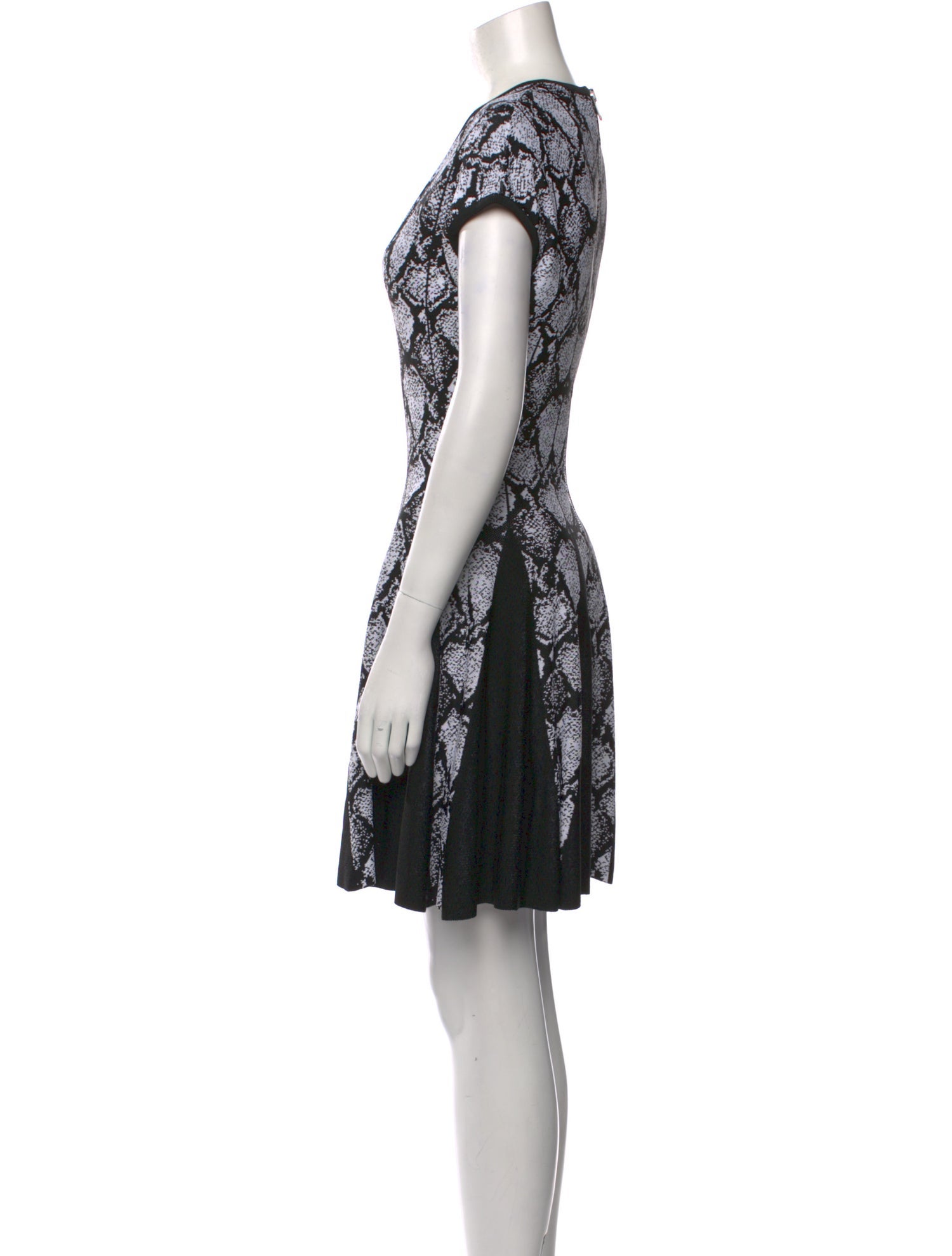 Balmain Printed Mini Dress w/ Tags