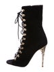 Balmain Ava Defile Lace-Up Boots