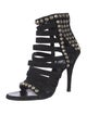 Giuseppe Zanotti x Balmain Suede Studded Accents Pumps