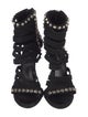 Giuseppe Zanotti x Balmain Suede Studded Accents Pumps