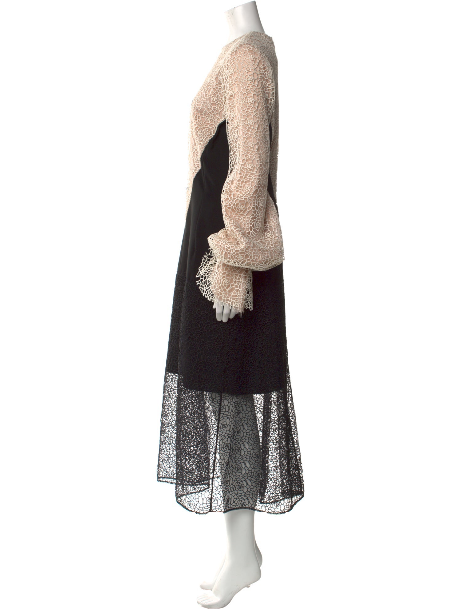 Bibhu Mohapatra Lace Pattern Long Dress