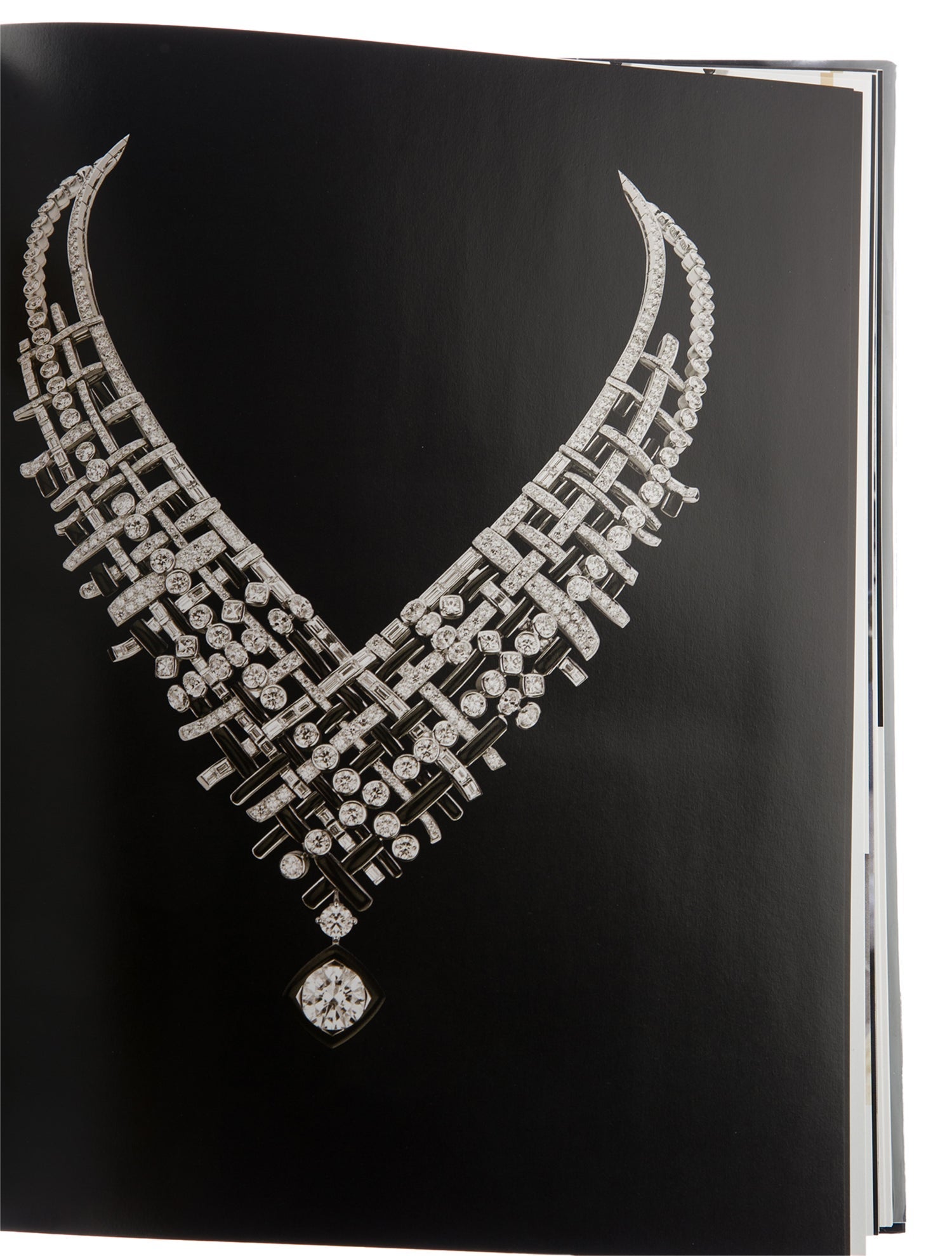 Book Absolutely Chanel