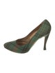 Bottega Veneta Canvas Printed Pumps