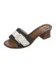 Bottega Veneta Leather Slides