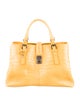 Bottega Veneta Edoardo Crocodile Roma Bag