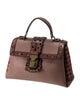 Bottega Veneta Intrecciato Top Handle Bag