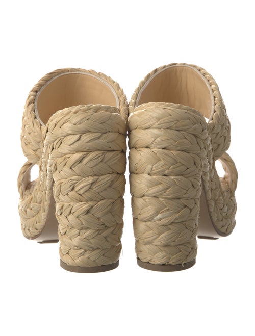 Bottega Veneta Raffia Braided Accents Espadrilles