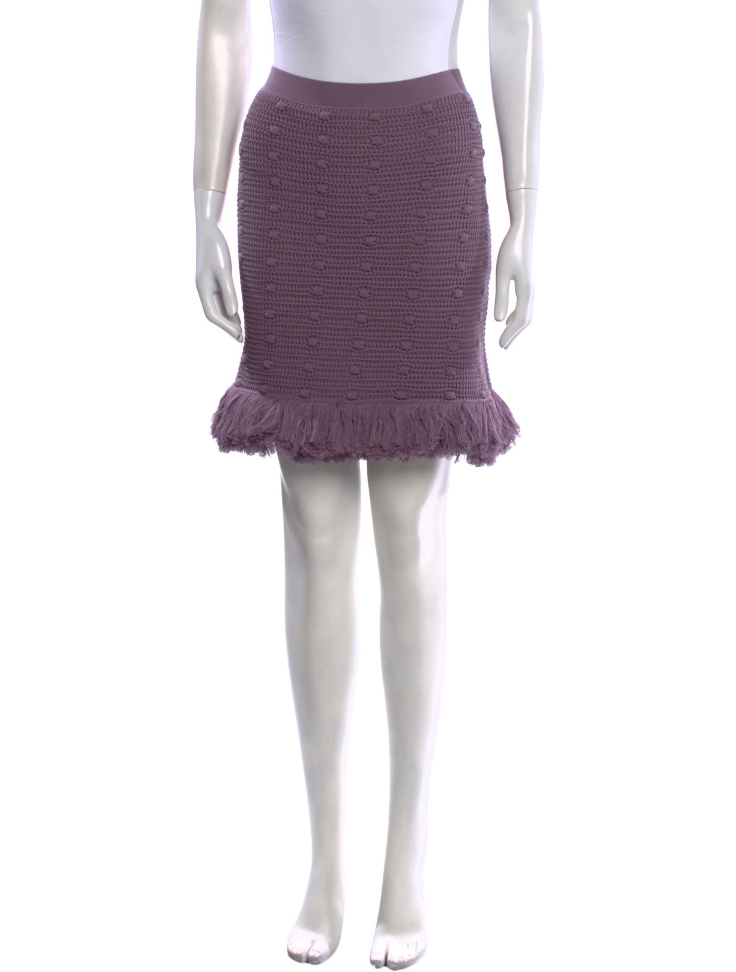 Bottega Veneta Fringe Trim Accent Mini Skirt