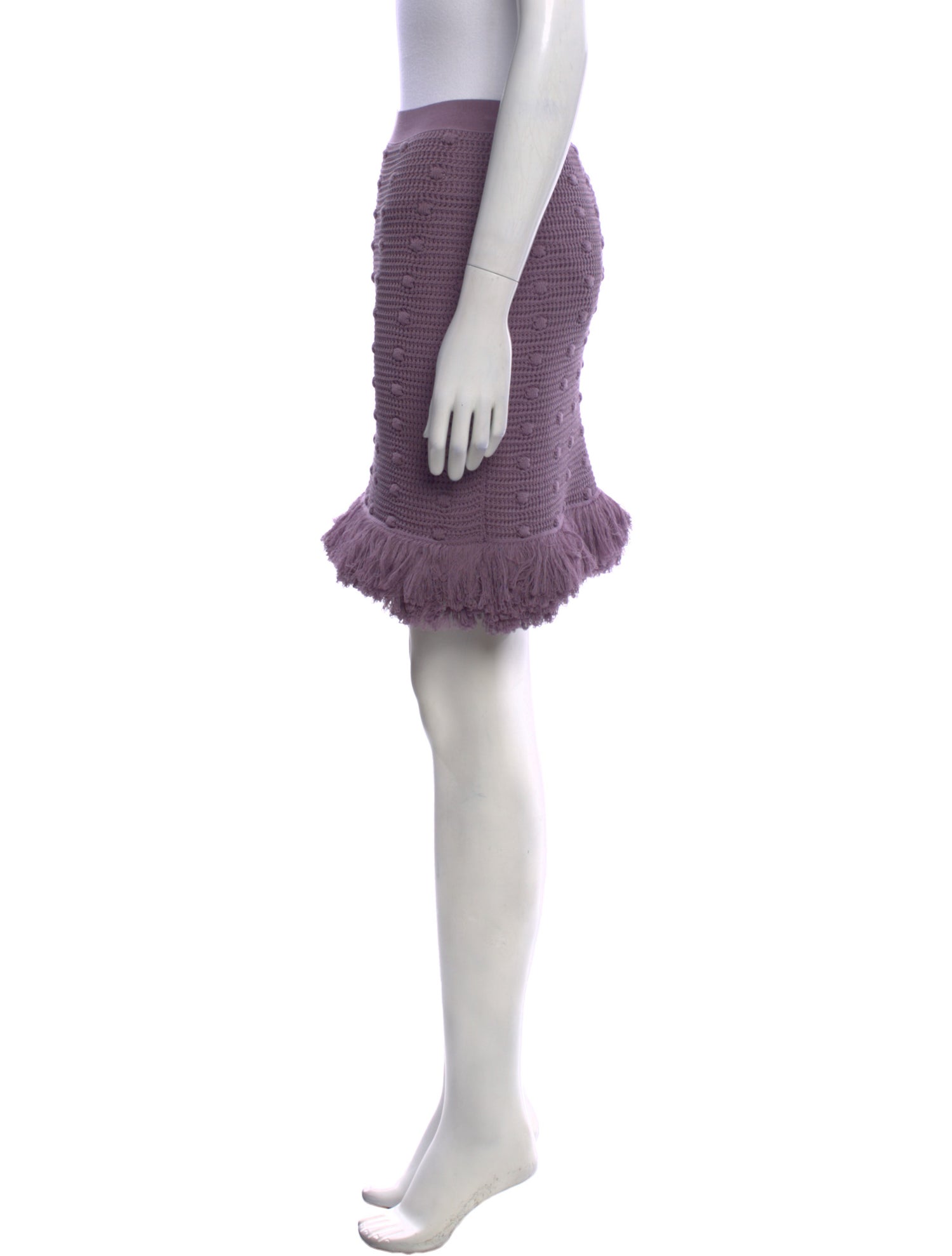 Bottega Veneta Fringe Trim Accent Mini Skirt
