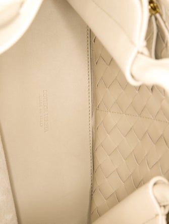 Bottega Veneta Intrecciato Andiamo Medium