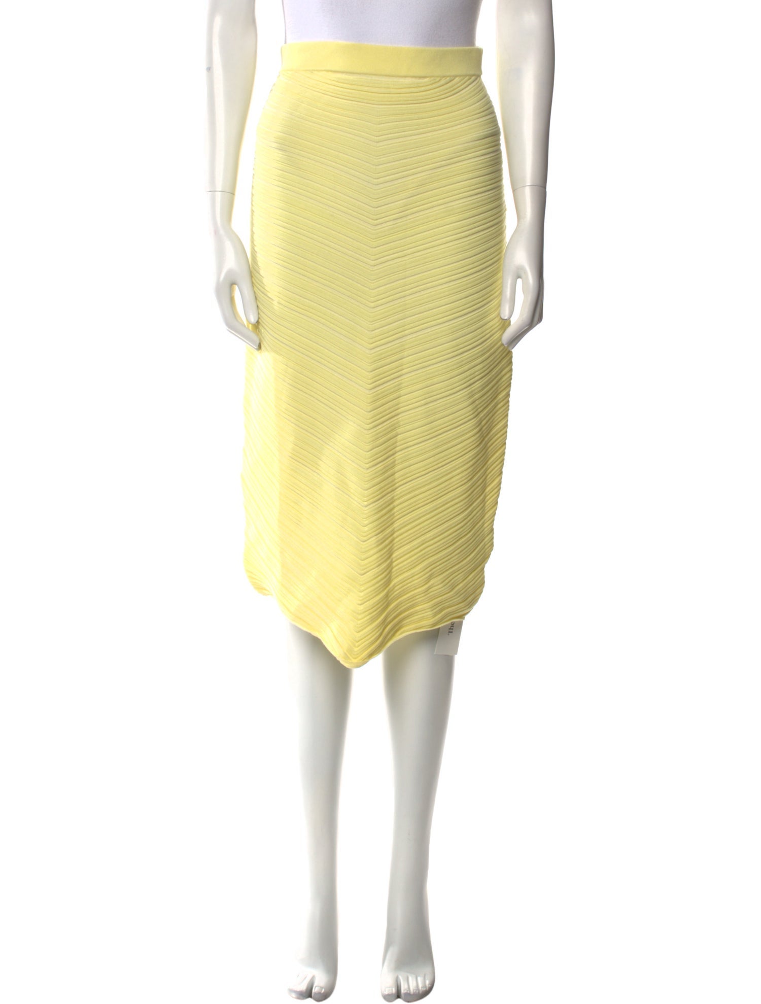 Bottega Veneta Pleated Accents Knee-Length Skirt