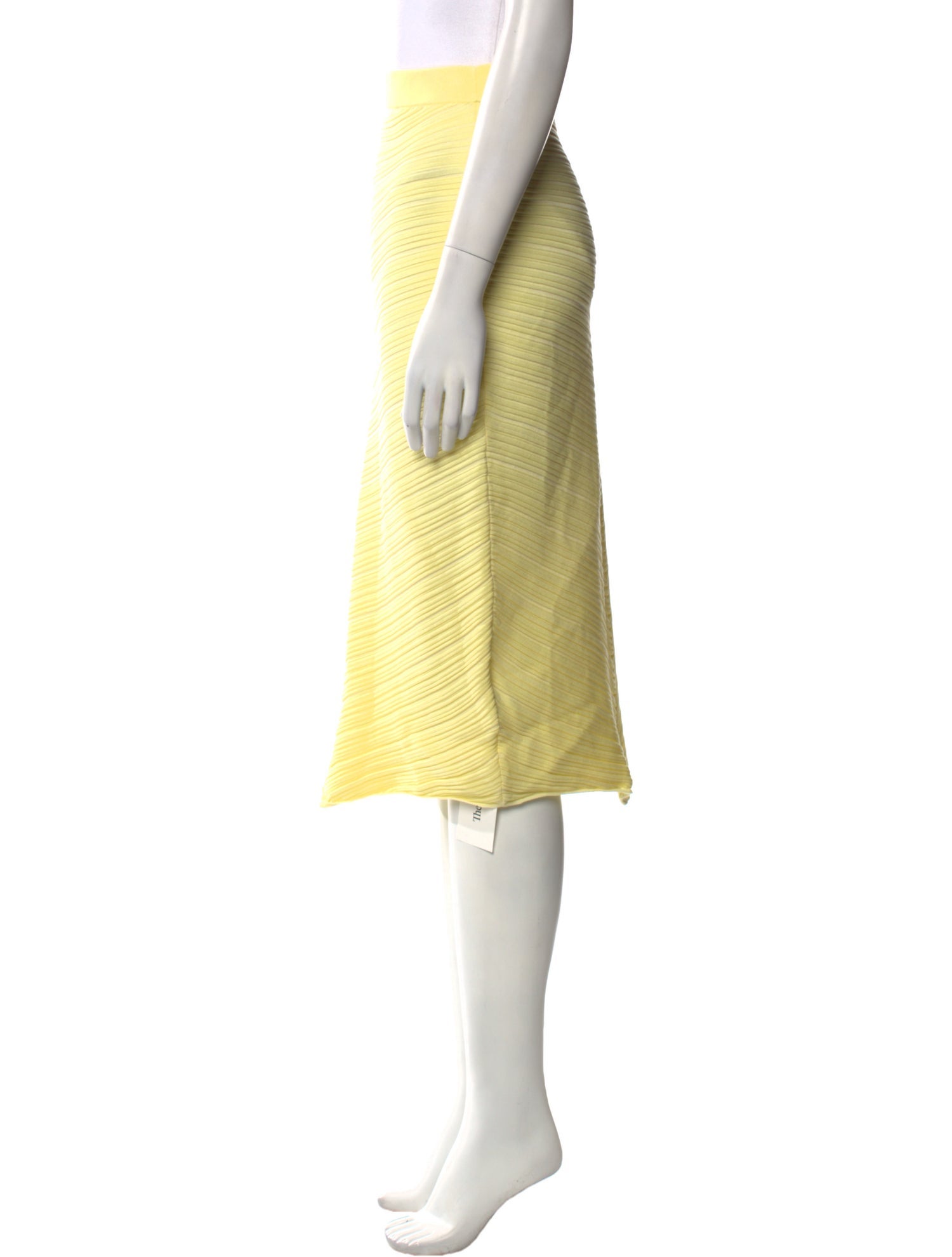 Bottega Veneta Pleated Accents Knee-Length Skirt