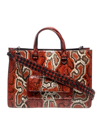 Bottega Veneta Python Top Handle Bag