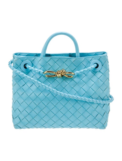 Bottega Veneta Intrecciato Andiamo Small 2024