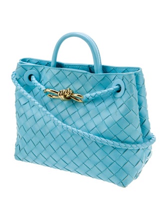 Bottega Veneta Intrecciato Andiamo Small 2024