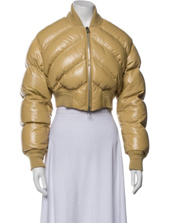 Bottega Veneta 2021 Leather Down Jacket