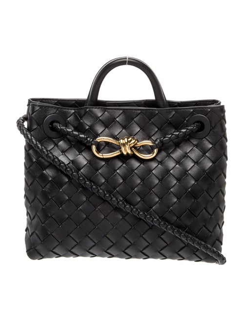 Bottega Veneta Intrecciato Andiamo Small