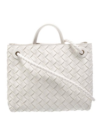 Bottega Veneta Intrecciato Andiamo Small