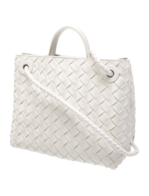 Bottega Veneta Intrecciato Andiamo Small
