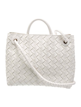 Bottega Veneta Intrecciato Andiamo Small