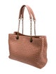 Bottega Veneta Intrecciato Chain Tote Medium