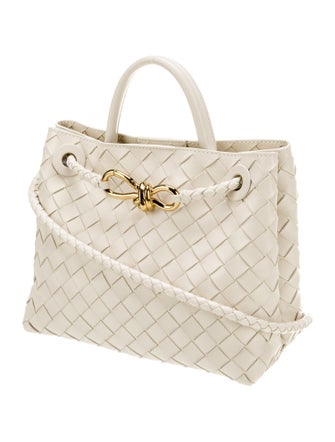 Bottega Veneta Intrecciato Andiamo Small