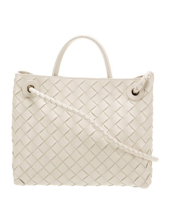 Bottega Veneta Intrecciato Andiamo Small