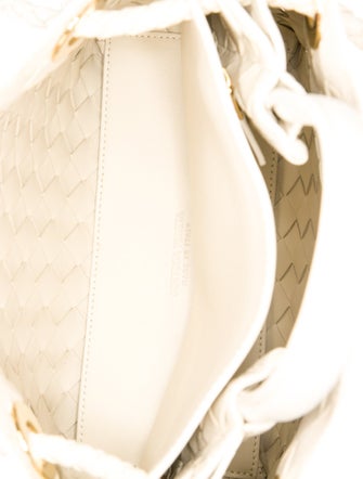 Bottega Veneta Intrecciato Andiamo Small
