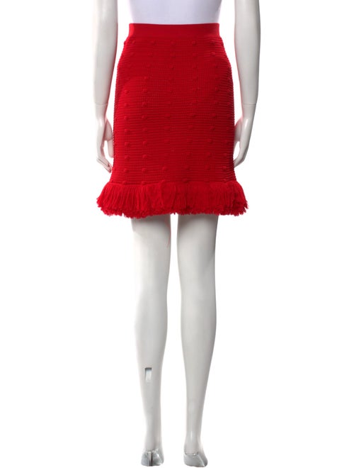 Bottega Veneta Fringe Trim Accent Knee-Length Skirt