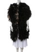 Bottega Veneta Ostrich Feather Down Coat