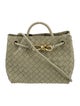 Bottega Veneta Intrecciato Andiamo Small