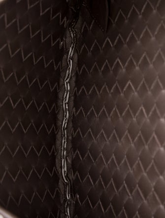 Bottega Veneta Intrecciato Sardine 2025