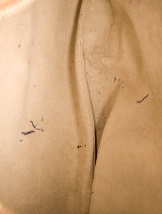 Bottega Veneta Intrecciato Cervo Hobo