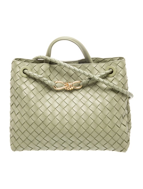 Bottega Veneta Intrecciato Small Andiamo bag Small
