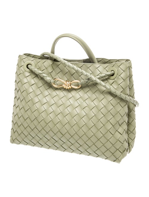 Bottega Veneta Intrecciato Small Andiamo bag Small