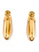 Bottega Veneta Small Fin Drop Earrings