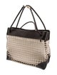 Bottega Veneta Canvas Net Andiamo Large