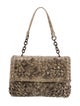Bottega Veneta Snakeskin Shoulder Bag