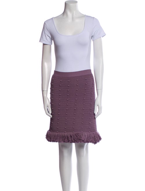 Bottega Veneta Fringe Trim Accent Skirt Set