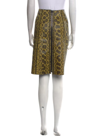 Bottega Veneta Snakeskin Knee-Length Skirt