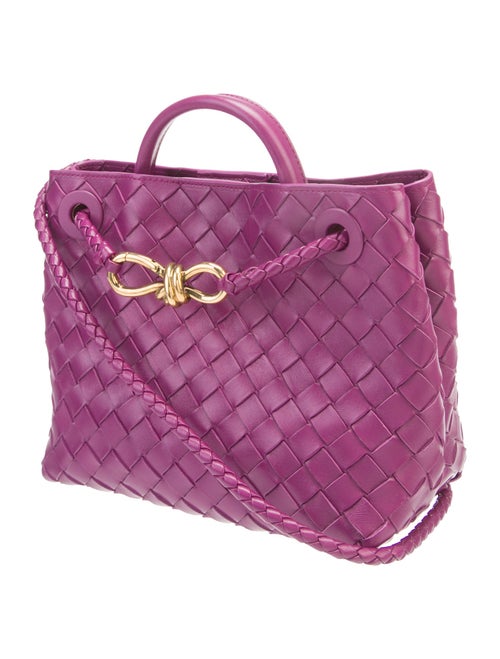 Bottega Veneta Intrecciato Andiamo Small