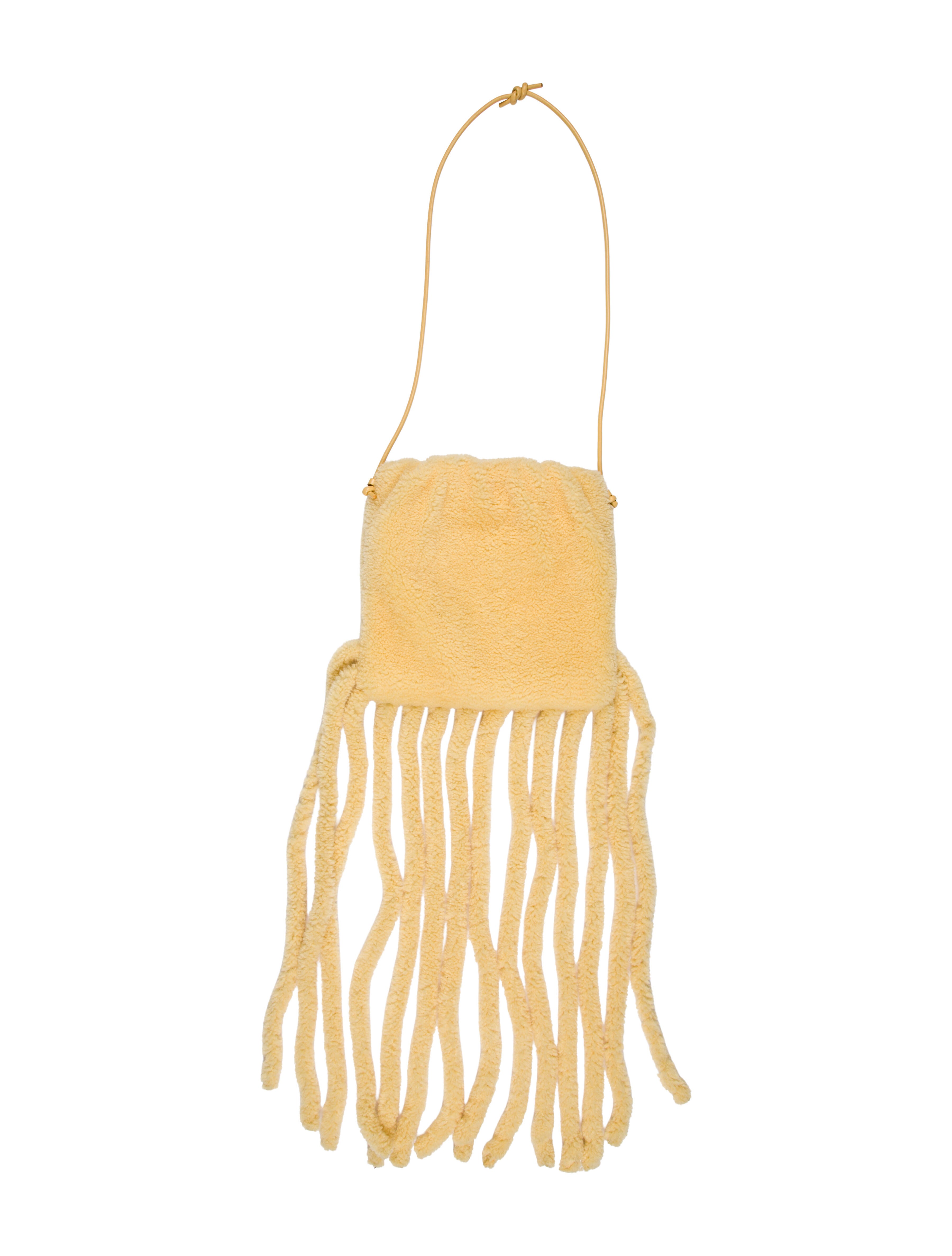 Bottega Veneta Shearling Shoulder Bag